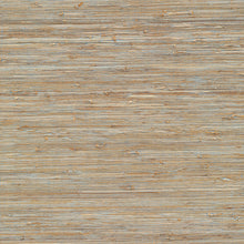 Load image into Gallery viewer, Taizhou Grasscloth Wallpaper