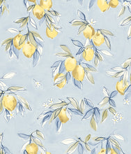 Load image into Gallery viewer, Lemonade Citrus