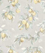 Load image into Gallery viewer, Lemonade Citrus