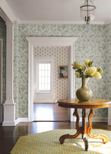 Load image into Gallery viewer, Begonia