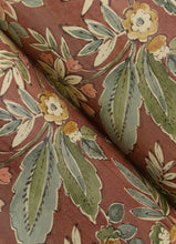 Load image into Gallery viewer, Begonia