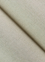 Load image into Gallery viewer, Kameez