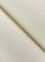 Load image into Gallery viewer, Kameez