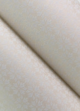 Load image into Gallery viewer, Phlox