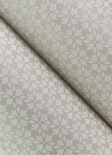 Load image into Gallery viewer, Phlox