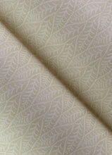 Load image into Gallery viewer, Coleus