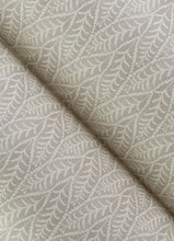 Load image into Gallery viewer, Coleus