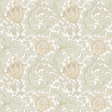 Load image into Gallery viewer, Anemone