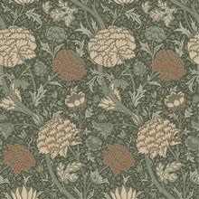 Load image into Gallery viewer, Cray