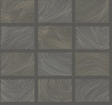 Load image into Gallery viewer, Bronson
