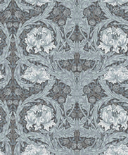 Load image into Gallery viewer, African Marigold