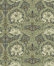 Load image into Gallery viewer, African Marigold