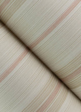 Load image into Gallery viewer, Ames