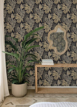 Load image into Gallery viewer, Alocasia