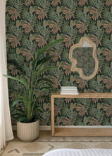 Load image into Gallery viewer, Alocasia