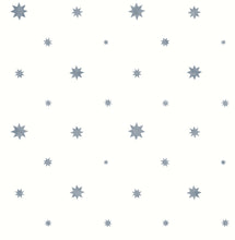 Load image into Gallery viewer, Henry