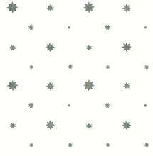 Load image into Gallery viewer, Henry