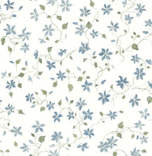 Load image into Gallery viewer, Betsy