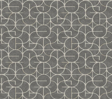 Load image into Gallery viewer, Looking Glass