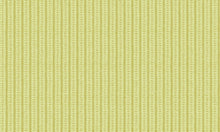 Load image into Gallery viewer, Mozart
