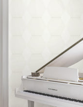 Load image into Gallery viewer, Ronald Redding