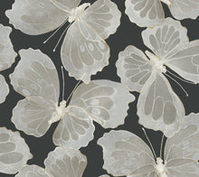 Load image into Gallery viewer, Monarch
