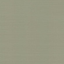 Load image into Gallery viewer, Natural Grasscloth