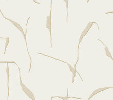 Load image into Gallery viewer, Ivory Coast