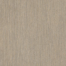 Load image into Gallery viewer, Washed Ramie