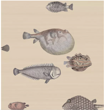 Load image into Gallery viewer, Acquario