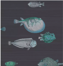 Load image into Gallery viewer, Acquario