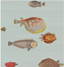 Load image into Gallery viewer, Acquario