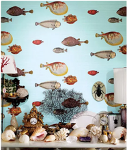 Load image into Gallery viewer, Acquario