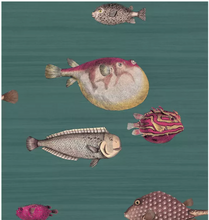 Load image into Gallery viewer, Acquario