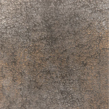 Load image into Gallery viewer, Foiled Again