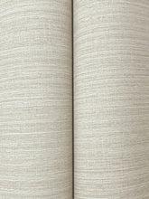 Load image into Gallery viewer, Amyra Silk