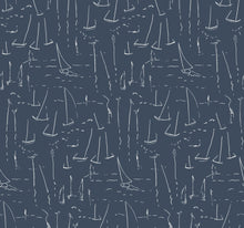 Load image into Gallery viewer, Coast