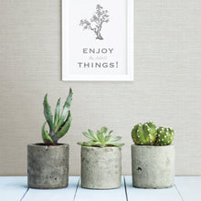Load image into Gallery viewer, Agave Bliss Faux Grasscloth Wallpaper