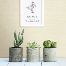 Load image into Gallery viewer, Agave Bliss Faux Grasscloth Wallpaper