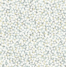 Load image into Gallery viewer, Transitional, Botanical