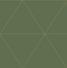 Load image into Gallery viewer, Graphics, Geometrics, Modern, Moss