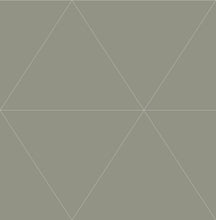 Load image into Gallery viewer, Graphics, Geometrics, Modern, Silver