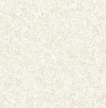 Load image into Gallery viewer, Modern, Distressed Textures, Graphics