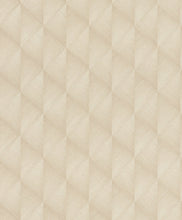 Load image into Gallery viewer, Transitional, Geometrics, Graphics