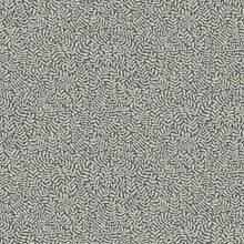 Load image into Gallery viewer, Anna Fern Trail Wallpaper