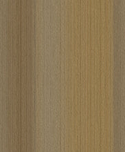 Load image into Gallery viewer, Modern, Ombre, Abstract