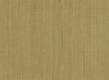 Load image into Gallery viewer, Traditional, Distressed Textures, Abstract