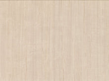 Load image into Gallery viewer, Traditional, Distressed Textures, Abstract