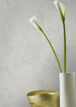 Load image into Gallery viewer, Escher Plaster Wallpaper