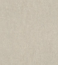 Load image into Gallery viewer, Modern, Texture Pattern,Graphics, Greys